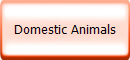 Domestic Animals