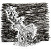 Elk Spirit
