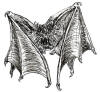 Eyewing