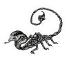 Cobroid