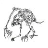 Bone Cage
