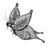 Butterfly, Giant