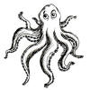 Octopus (Giant)