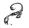 Scorpion (Giant)