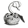 Snake, Poisonous