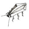 Stainless Steel Cockroach