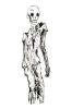 Zombie (Common)